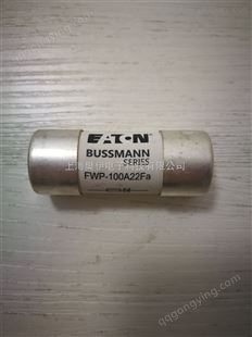 巴斯曼快熔断器保险丝FWP-100A22FA原装